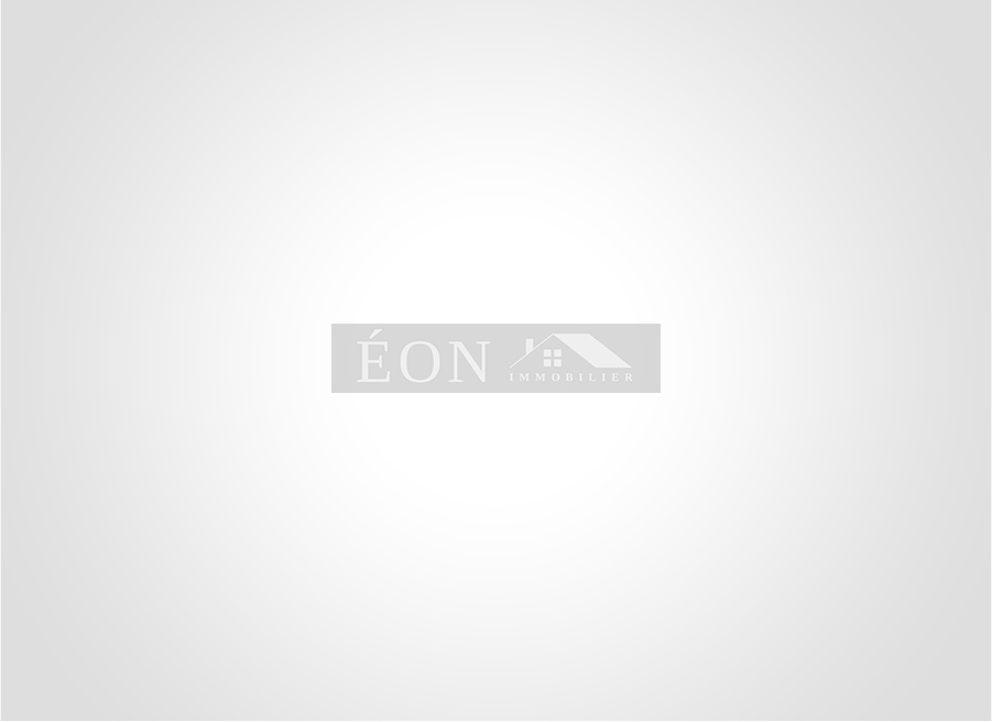 vente  Paris 15eme Arrondissement